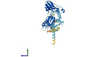 Protein Structure (PS) image for Protein Kinase, CAMP-Dependent, Regulatory, Type I, alpha (Tissue Specific Extinguisher 1) (PRKAR1A) (AA 1-381) protein (His tag) (ABIN7548771)
