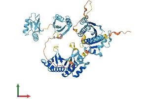 Protein Structure (PS) image for Insulin-Like Growth Factor 2 mRNA Binding Protein 3 (IGF2BP3) (AA 1-579) protein (His tag) (ABIN7564935)