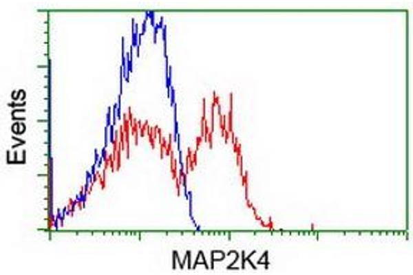 MAP2K4 anticorps