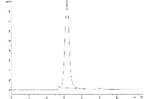 Size-exclusion chromatography-High Pressure Liquid Chromatography (SEC-HPLC) image for Natural Killer Cell Cytotoxicity Receptor 3 Ligand 1 (NCR3LG1) (AA 25-262) protein (His-Avi Tag,Biotin) (ABIN7273970)