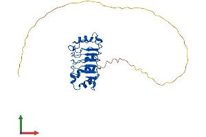 Protein Structure (PS) image for Acidic (Leucine-Rich) Nuclear phosphoprotein 32 Family, Member A (ANP32A) (AA 1-249) protein (His tag) (ABIN7552051)