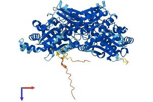 PFKP Protein (AA 1-784) (His tag)