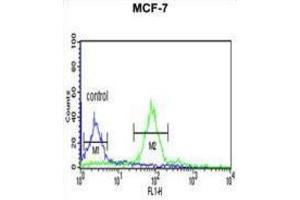 Flow Cytometry (FACS) image for anti-Histone H2A Type 1-H (HIST1H2AH) antibody (ABIN3003926)