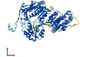 AlphaFold protein structure predicition of Mouse Recombinant Aldh16a1 Protein, UniprotID Q571I9