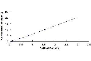 Typical standard curve (SLC1A3 ELISA Kit)