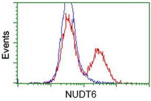 HEK293T cells transfected with either RC203470 overexpress plasmid (Red) or empty vector control plasmid (Blue) were immunostained by anti-NUDT6 antibody (ABIN2454159), and then analyzed by flow cytometry. (NUDT6 Antikörper)