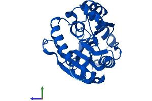 AlphaFold protein structure predicition of Mouse Recombinant Ntmt1 Protein, UniprotID Q8R2U4