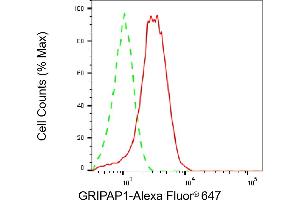 Flow cytometric analysis of GRIPAP1 expression in HepG2 cells using GRIPAP1 antibody (ABIN7798803), 1:2,000). (GRIPAP1 Antikörper)