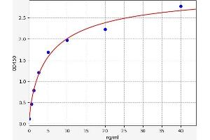 CD28 ELISA Kit