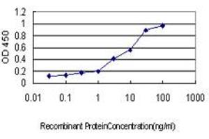 Detection limit for recombinant GST tagged NFX1 is approximately 0. (NFX1 Antikörper  (AA 981-1080))