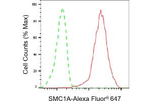 Flow cytometric analysis of SMC1A expression in HepG2 cells using SMC1A antibody (ABIN7800446), 1:2,000). (Rekombinanter SMC1A Antikörper)