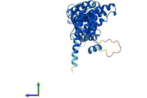 Protein Structure (PS) image for Aryl Hydrocarbon Receptor Interacting Protein (AIP) (AA 1-330) protein (His tag) (ABIN7552076)