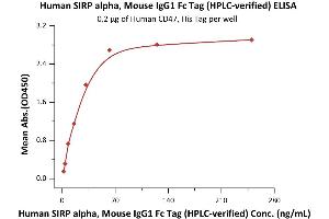 Immobilized Human CD47, His Tag (ABIN2180804,ABIN2180803) at 2 μg/mL (100 μL/well) can bind Human SIRP alpha, Mouse IgG1 Fc Tag (ABIN2181768,ABIN2181767) with a linear range of 4-31 ng/mL (QC tested).