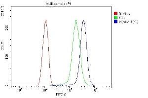 Flow Cytometry analysis of SiHa cells using anti- CD146/MCAM antibody (ABIN7602098).
