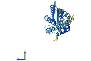 AlphaFold protein structure predicition of Mouse Recombinant Commd7 Protein, UniprotID Q8BG94 (COMMD7 Protein (AA 1-200) (His tag))