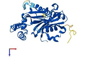 NUDT22 Protein (AA 1-303) (His tag)