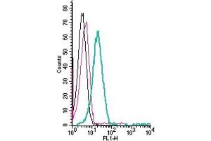 Cell surface detection of TRPM6 by direct flow cytometry in live intact human Jurkat T-cell leukemia cells: + Rabbit IgG Isotype Control-FITC (ABIN7582044).