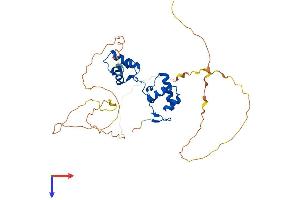 PAX9 Protein (AA 1-342) (His tag)