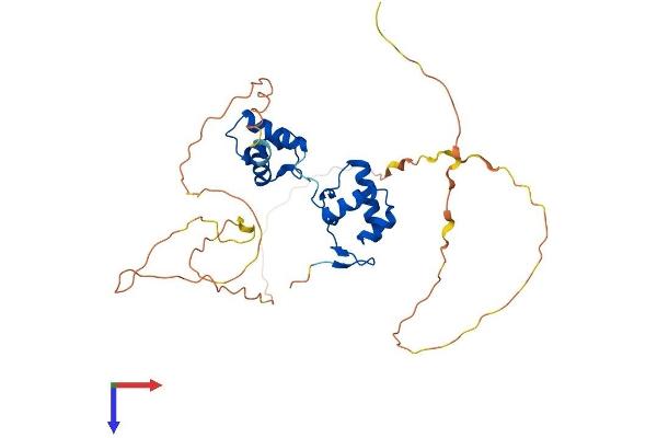 PAX9 Protein (AA 1-342) (His tag)