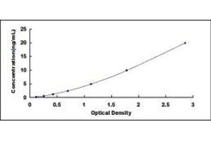 HTR2C ELISA Kit