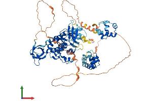 Protein Structure (PS) image for Tyrosine Kinase, Non-Receptor, 1 (TNK1) (AA 1-666) protein (His tag) (ABIN7564900)