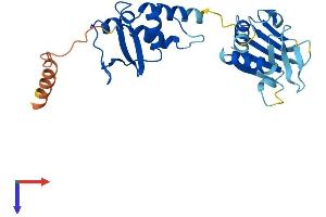 KCTD4 Protein (AA 1-259) (His tag)
