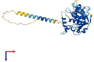 ST6GALNAC6 Protein (AA 1-333) (His tag)