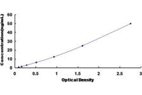 CD200R1L ELISA Kit