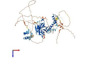 Tumor Protein p73 Protein (AA 1-636) (His tag)