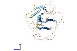 Protein Structure (PS) image for DAZ Interacting Protein 1 (DZIP1) (AA 1-852) protein (His tag) (ABIN7558762)