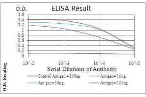 ELISA image for anti-Absent in Melanoma 2 (AIM2) (AA 1-195) antibody (ABIN5542273)