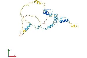 Protein Structure (PS) image for JAZF Zinc Finger 1 (JAZF1) (AA 1-243) protein (His tag) (ABIN7558462)