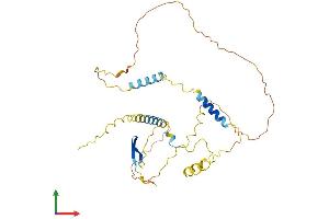 Protein Structure (PS) image for Lymphocyte-Specific Protein 1 (LSP1) (AA 1-339) protein (His tag) (ABIN7549138)