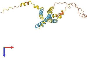 CMTM5 Protein (AA 1-223) (His tag)