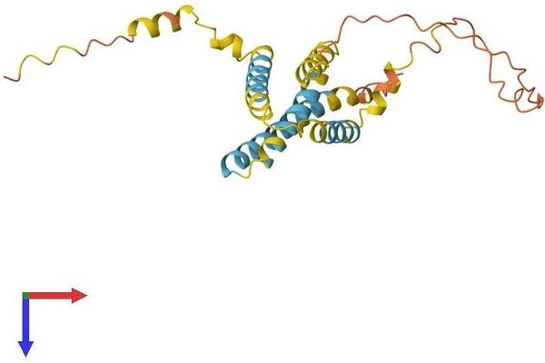 CMTM5 Protein (AA 1-223) (His tag)