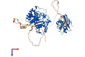 MOCS1 Protein (AA 1-636) (His tag)