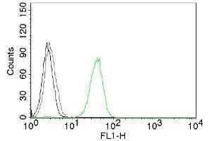 Flow Cytometry of human CD31 on Jurkat cells. (CD31 Antikörper)