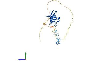 AlphaFold protein structure predicition of Human Recombinant LIN28B Protein, UniprotID Q6ZN17