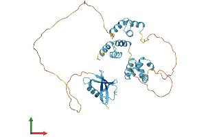 Protein Structure (PS) image for RAD23 Homolog A (RAD23A) (AA 1-363) protein (His tag) (ABIN7555180)