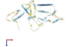 Protein Red (IK) (AA 1-557) protein (His tag)