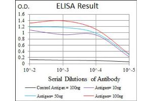 ELISA image for anti-Hexosaminidase A (HEXA) antibody (ABIN1846273)