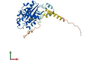 AlphaFold protein structure predicition of Human Recombinant PLCXD2 Protein, UniprotID Q0VAA5