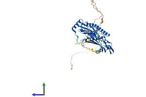 Protein Structure (PS) image for Exosome Component 9 (EXOSC9) (AA 1-439) protein (His tag) (ABIN7553839)