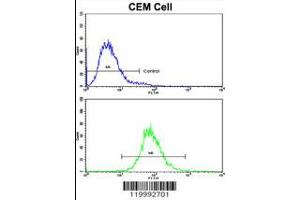 Flow Cytometry (FACS) image for anti-CD36 (CD36) (AA 213-242) antibody (ABIN5536959)