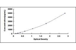 Typical standard curve (CHRNB1 ELISA Kit)