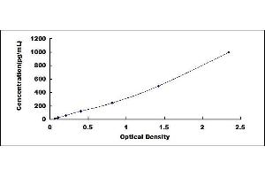 Typical standard curve (HPSE ELISA Kit)