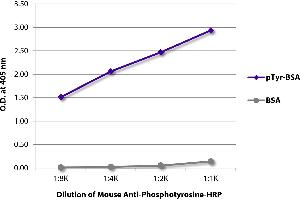 ELISA plate was coated with BSA and BSA conjugated to phosphotyrosine (pTry-BSA). (Phosphotyrosine Antikörper  (HRP))