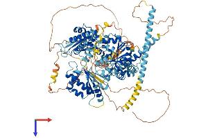 DDX11 Protein (AA 1-970) (His tag)