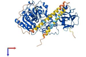 GALNT8 Protein (AA 1-637) (His tag)