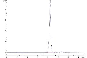 Size-exclusion chromatography-High Pressure Liquid Chromatography (SEC-HPLC) image for Transglutaminase 2 (C Polypeptide, Protein-Glutamine-gamma-Glutamyltransferase) (TGM2) (AA 2-686) protein (His tag) (ABIN7275724)